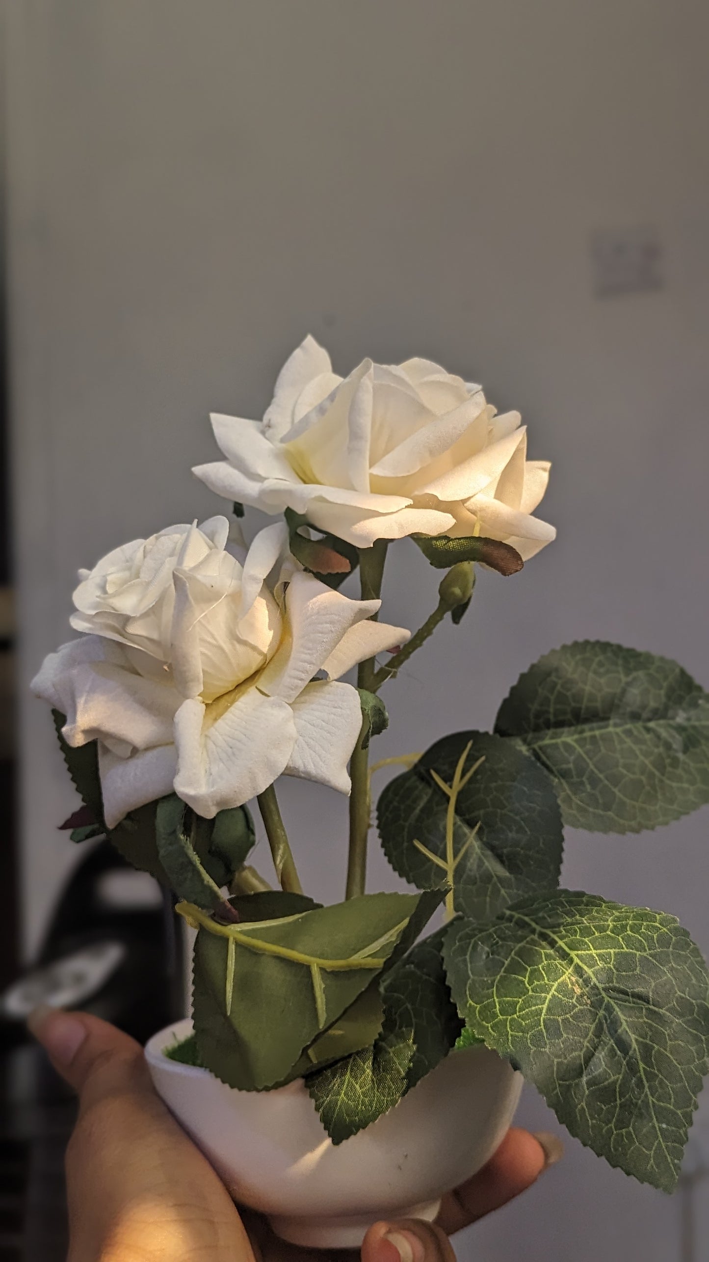 White budding rose with flower vase