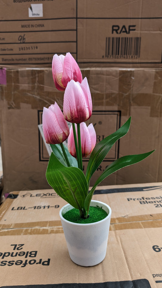 Pink tulip flower with black planter pot