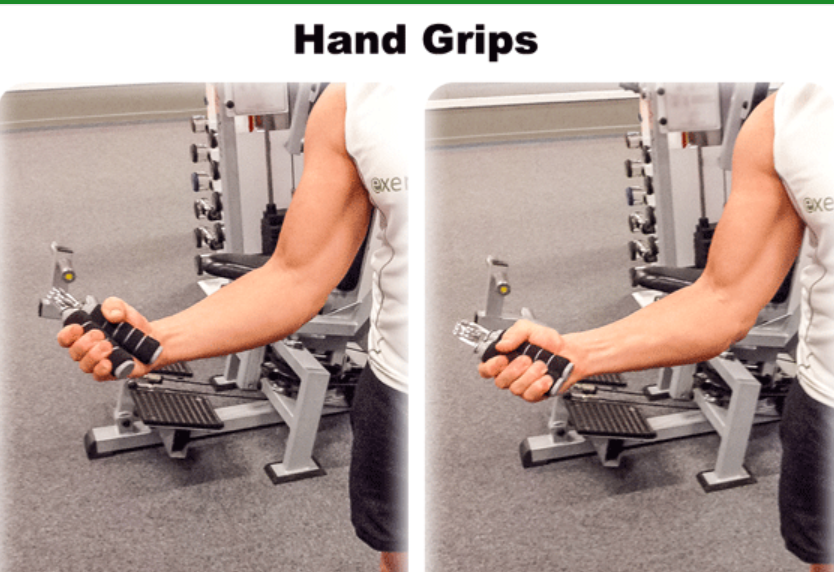 Hand grip Muscle builder