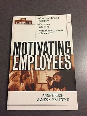 Practical Guide For Motivating Employees  - Ebook